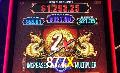 877X