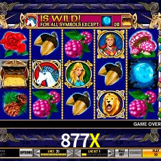 Fortune Rabbit slot